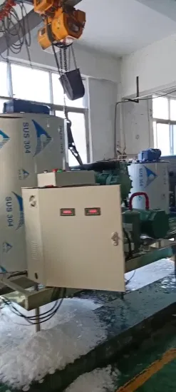 Lier Máquina de flocos de gelo inteligente com economia de energia e garantia longa de alta qualidade (300kg/24h
